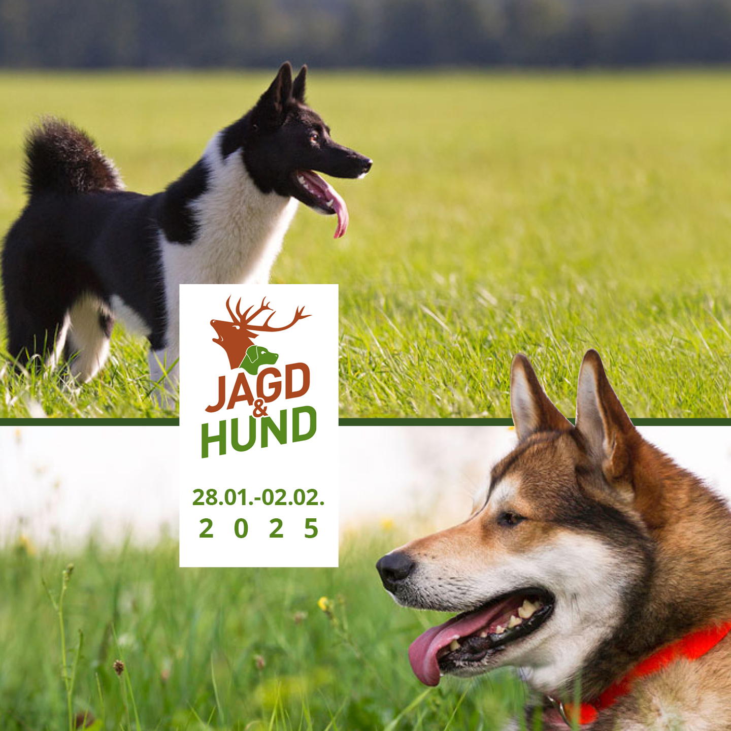 Jagd&Hund 2023